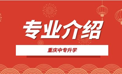 重慶市涪陵信息技術(shù)信息技術(shù)類(lèi)專(zhuān)業(yè)介紹